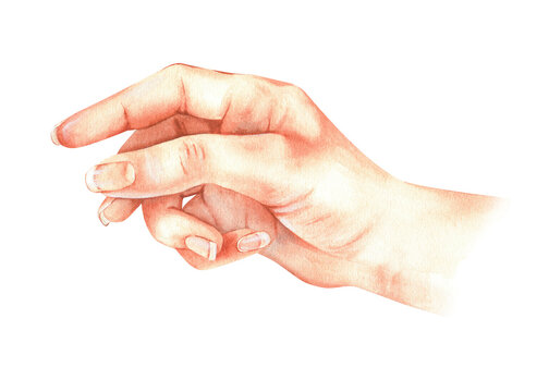 Watercolor illustration. The hand is holding something. Empty space for a pen, brush or other. Isolated on a white background.For posters for nail salons, booklets for hand skin care, beauty industry