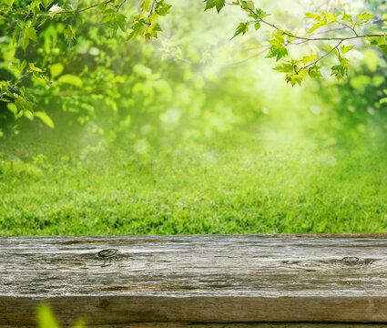 a wooden table and blurred spring landscape background with tree branches and grass