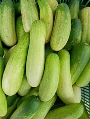 cucumbers in the market