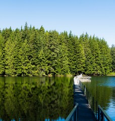 Beautiful view of a long dock over Sasamat lake, Canada, British Columbia in spring