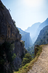 Obraz premium Cares trail - ruta del Cares - in Picos de Europa, Asturias, Spain