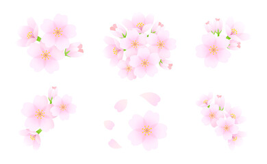 Fototapeta na wymiar Cherry Blossom Set Illustration for Spring Decoration