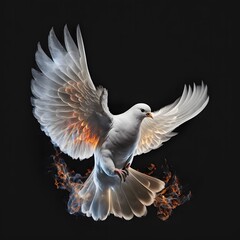 Naklejka na ściany i meble Beautiful white dove and fire isolated on black background - AI generated
