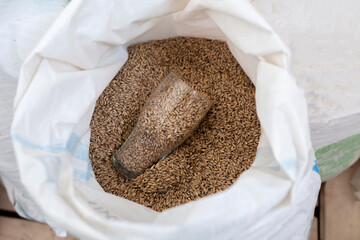 raw malt with glass in a white bag, beer production