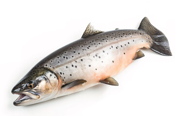 Fototapeta premium image of salmon fish on white background. Underwater Animals. Foods. illustration, generative AI.
