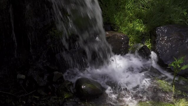 Landscape of the Akchour waterfall surrounded by greenery in Morocco