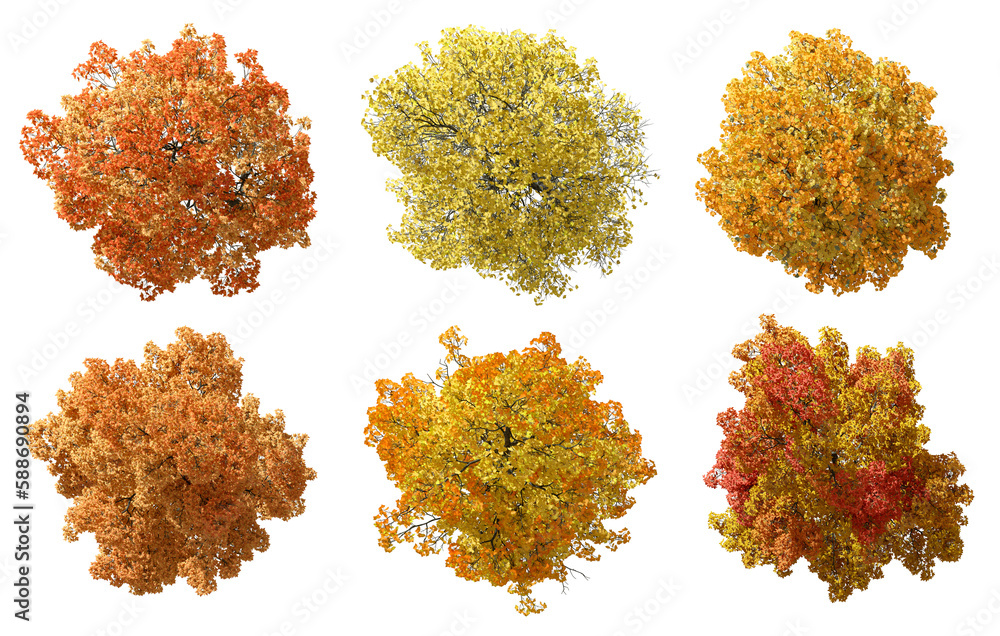 Aufkleber birdeye view top autum large trees shapes isolate backgrounds 3d render png