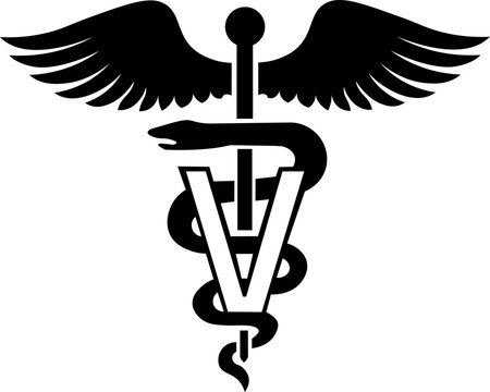 Veterinary caduceus symbol icon. Snake and stick with wings. Veterinary medicine logo. Pet care. Isolated on white background. Vector illustration.
