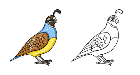 Fototapeta na wymiar Cute funny quail for coloring. Template for a coloring book with funny animals. Colouring page for kids.