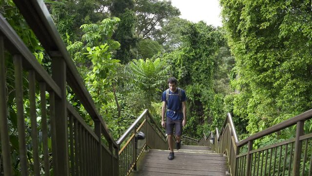 Young male hiker walking up wooden stairs in Mount Faber Park in Singapore