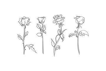 hand drawn flowers