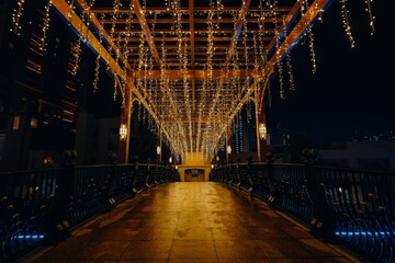 a walkway covered with christmas lights and lit up by street lamps