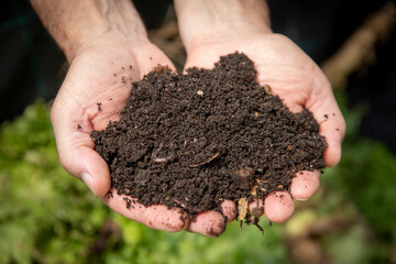 Terra fertile e humus di lombrico, ottimo per la coltivazione di ortaggi