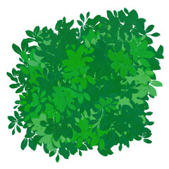 Obraz premium Tree