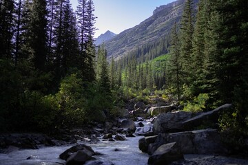 Beautiful view of a river flowing between tree-covered mountains under a cloudy blue sky