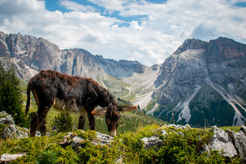 Italy, The Dolomites are a mountain range (numbering 18 peaks which rise to above 3,000 metres)...