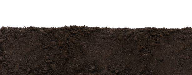 Soil patch texture isolated. Earth Day - April 22	