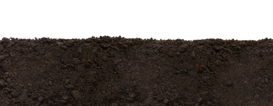 Soil patch texture isolated. Earth Day - April 22	