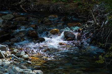 Closeup of the stones in a river