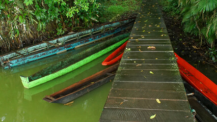 Colorful boats in Limoncocha Biological Reserve. Lagoon of Limoncocha, biological reserve.