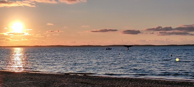 Arcachon beach