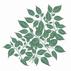 Oregano Herbs Illustration. Generative AI
