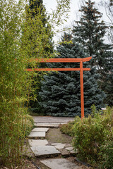 Orange Japanese style gate with bamboo on the foreground and pines on the background