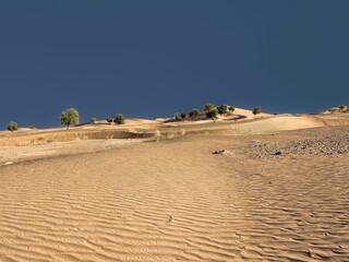 View of the deserted area