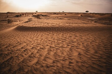 Closeup shot of patterns on the surface of sand made under the influence of wind