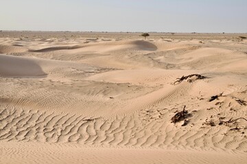 Beautiful shot of a dry brown desert under a clear blue sky
