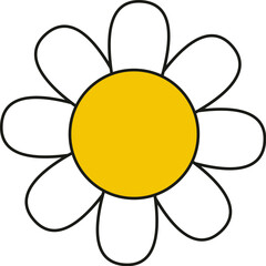 Lined Daisy Flower Head