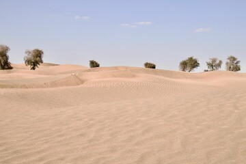 Fototapeta na wymiar Daytime view of the sand dunes in a desert