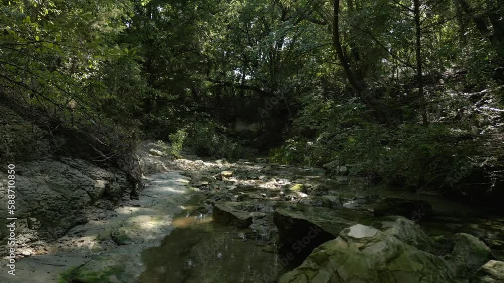 Poster beautiful view of woods in lost creek in allen tx with river,rocks and light falling from the trees