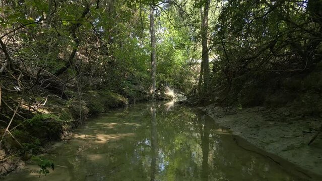 Beautiful view of woods in Lost Creek in Allen TX with river and light falling from the trees