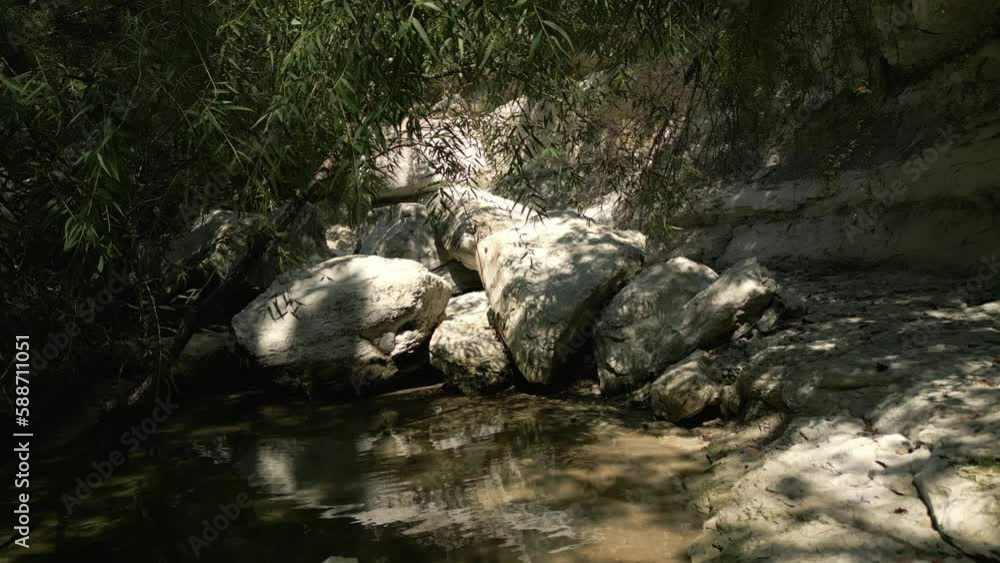 Poster beautiful view of woods in lost creek in allen tx with river, rocks and light falling from trees