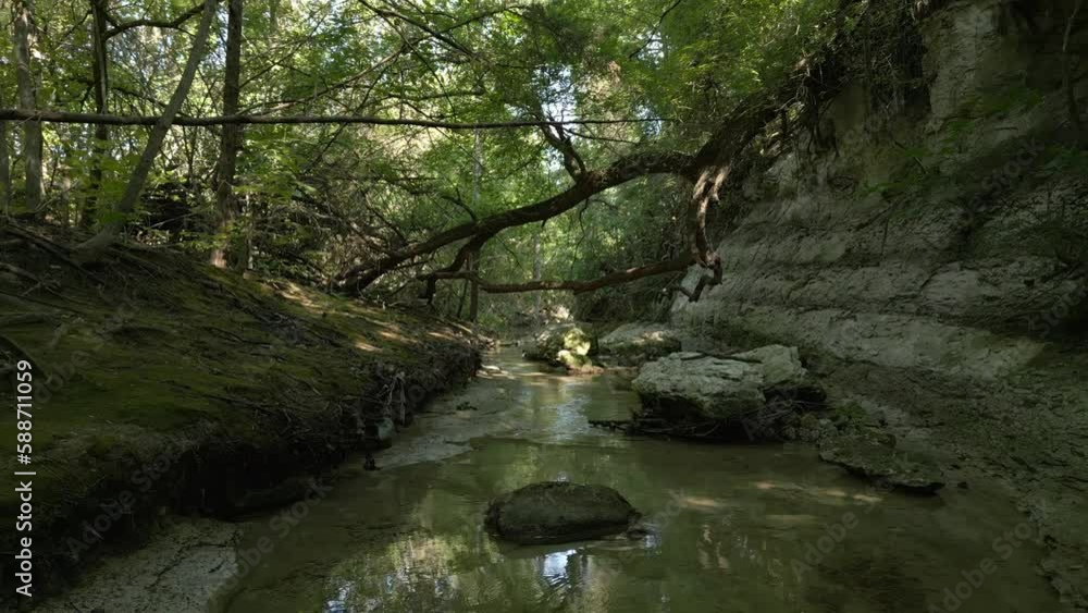 Poster beautiful view of woods in lost creek in allen tx with river, rocks and light falling from trees