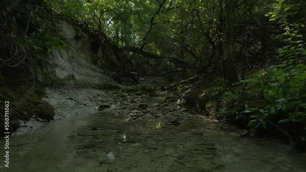 Poster beautiful view of woods in lost creek in allen tx with river, rocks and light falling from trees