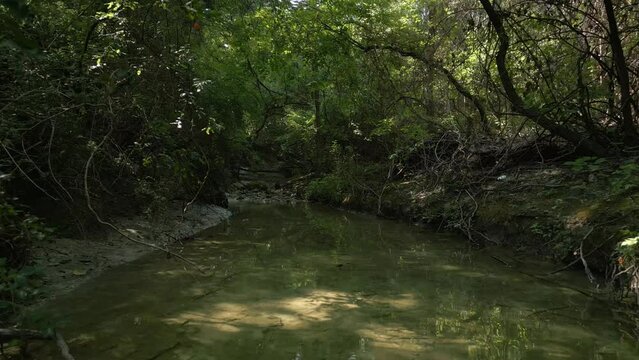 Beautiful view of woods in Lost Creek in Allen TX with river, rocks and light falling from trees