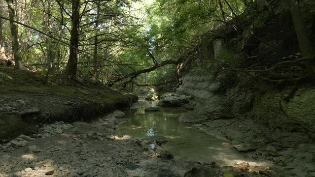 Beautiful view of woods in Lost Creek in Allen TX with river, rocks and light falling from trees