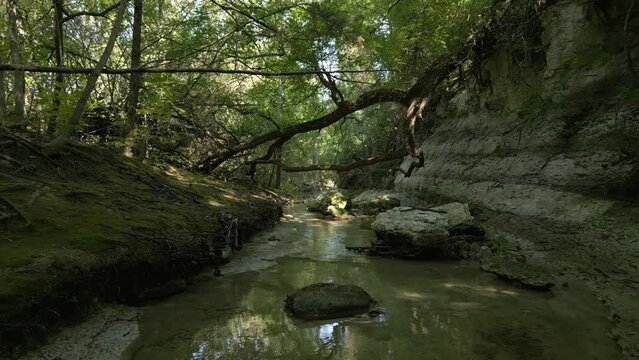 Beautiful view of woods in Lost Creek in Allen TX with river, rocks and light falling from trees