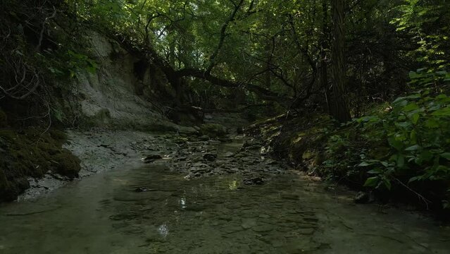 Beautiful view of woods in Lost Creek in Allen TX with river, rocks and light falling from trees