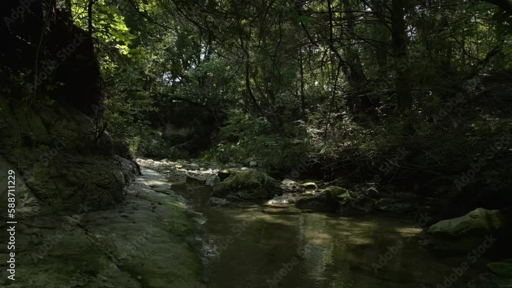 Poster beautiful view of woods in lost creek in allen tx with river, rocks and light falling from trees