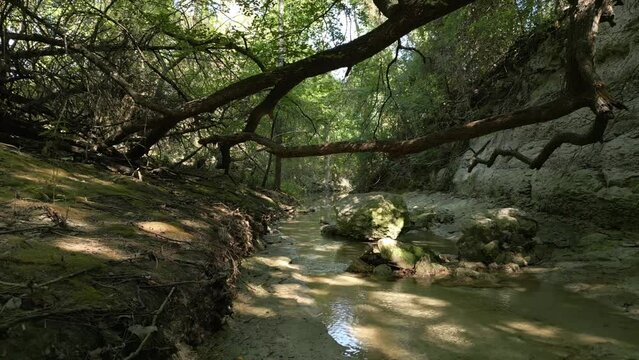 Beautiful view of woods in Lost Creek in Allen TX with river, rocks and light falling fromtrees