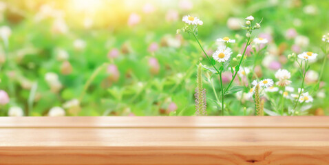 Empty wooden table on the background of Summer floral landscape with chamomile flowers and clover in the meadow. Ready for product montage. Mockup. Banner.Copy space.