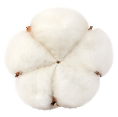 Pure Cotton