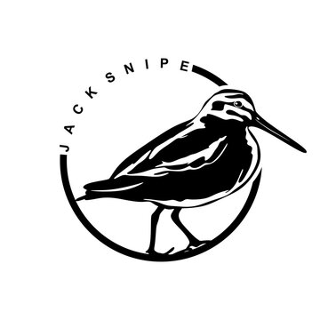 Jack snipe circle logo design. Bird symbol in minimal style. Jack snipe bird sign isolated on white background. Vector illustration