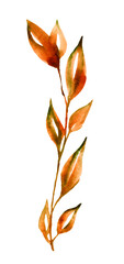 Watercolor floral greenery arrangement on white. Red, burgundy, brown autumn wild branches, leaves and twigs