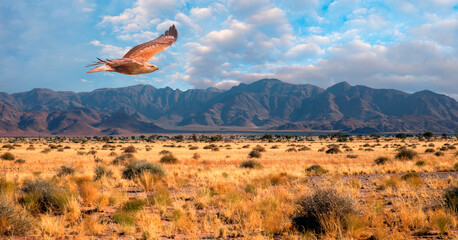 Beautiful Namibian savannah landscape with amazing cloudy sky - Tall yellow wild grass background...