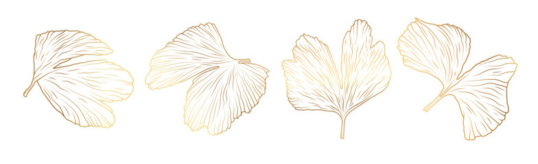 Gold ginkgo biloba leaf set. - 588717696
