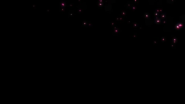 Animation of falling glowing pink petals